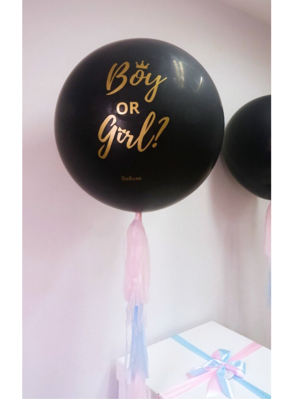 Gender Reveal Balloon