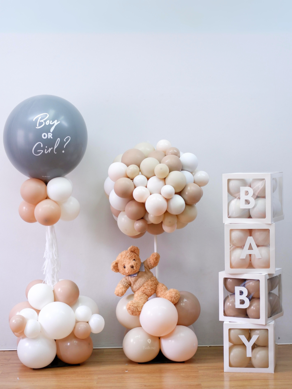 Package Gender Reveal with teddy bear