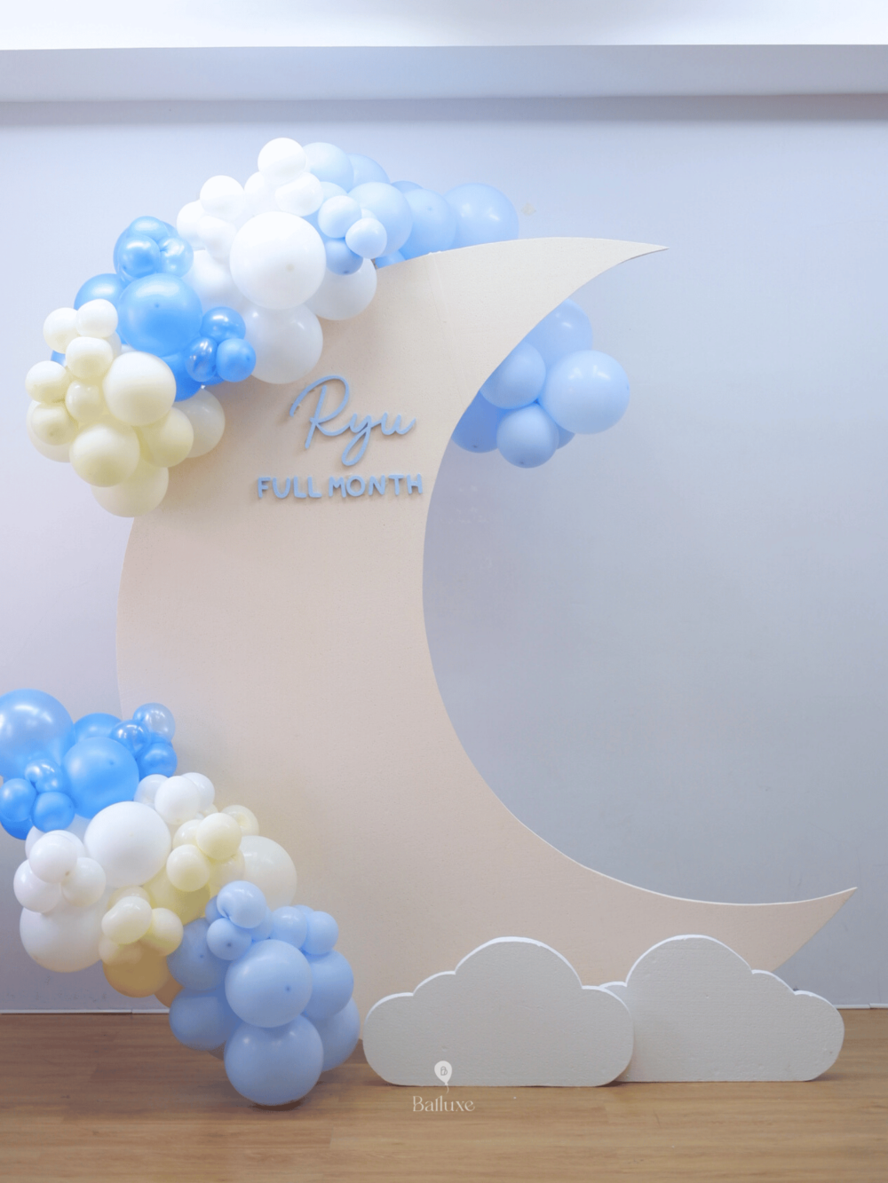 Moon Backdrop Instant