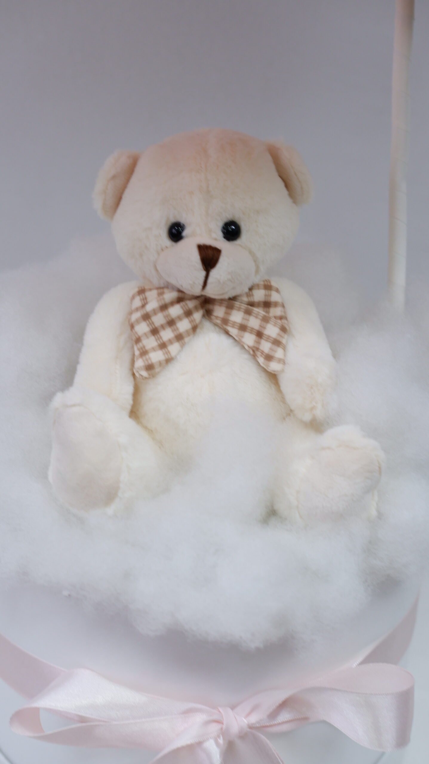 Cloud Hot Air Balloon - Image 2